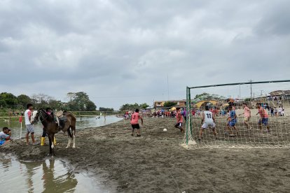 Un caballito se hace presente en las jornadas deportivas.