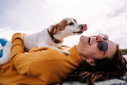 Los perros son capaces de oler el estrés de las personas