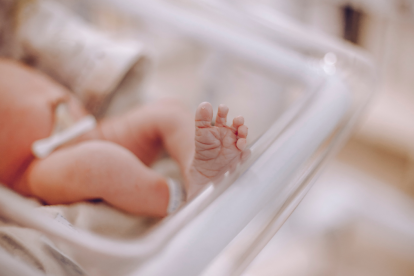 Se desconoce si el cuerpo hallado pertenece a un feto de 5 meses o a un menor con 5 meses de edad.