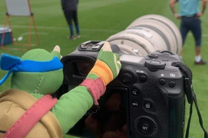 Una tortuga de peluche acompaña a Independiente del Valle.