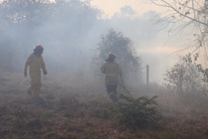 Alrededor de 50 bomberos acudieron ante esta emergencia.