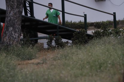 En medio de los arbustos del área posterior del hospital (cerca de los contenedores de basura) se escondió Tigretón.