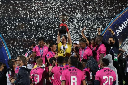 Ecuatorianos y brasileños se medirán en duelo inédito en la final de la Copa Sudamericana este sábado 1 de octubre.