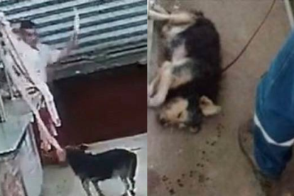 El video de la agresión se viralizó. Usuarios de redes sociales piden que le cierren su negocio.