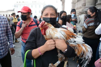 Hasta gallos se llevaron la bendición.