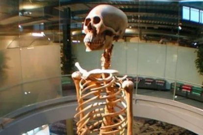 2004 fue la primera vez que la osamenta fue exhibida en el museo Mystery Park, en Suiza.