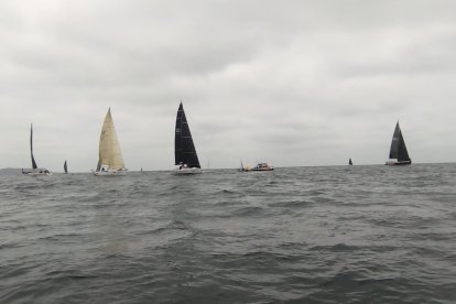 Los veleros participantes irán este sábado 15 hasta Puerto Ayora.