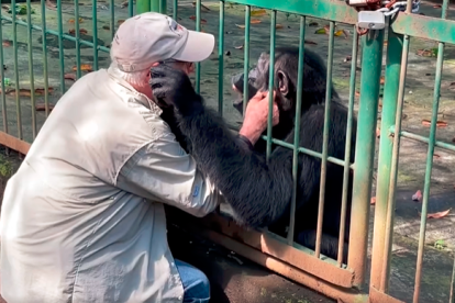El profesional estuvo a cargo del animal los últimos 25 años.