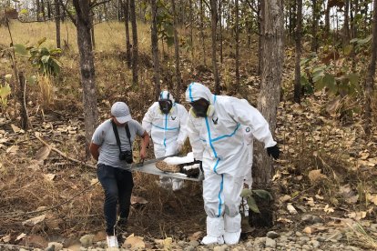 Los restos fueron llevados hasta el anfiteatro de Babahoyo.