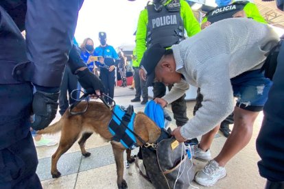 Durante los controles también se revisa si los pasajeros llevan sustancias estupefacientes.