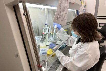 La peste negra moldeó nuestros genes y nuestro sistema inmune