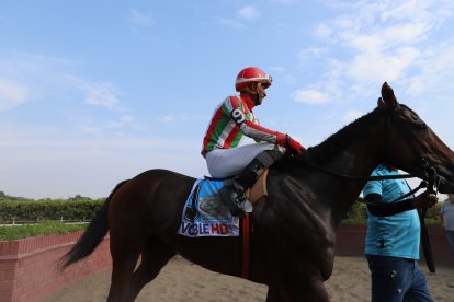 José Jurado con el caballo El Infierno llegó primero en la competencia en honor a EXTRA.