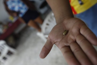 Los proyectiles cayeron en una casa que se encuentra junto a una escuela.