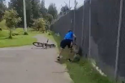 El hombre que ataca al perro argumentaba que lo hacía porque este habría agredido al suyo.