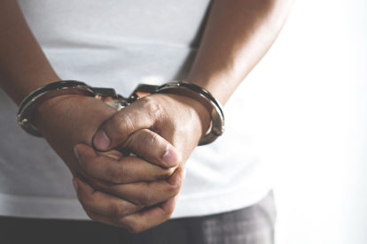 11 de los capturados poseen antecedentes judiciales.