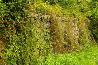 El cadáver quedó tendido dentro del terreno baldío.