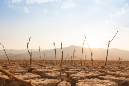 Tedros recordó que el cambio climático, ligado a conflictos y otros factores, ha dejado a 47 millones de personas con problemas de malnutrición en el Cuerno de África.