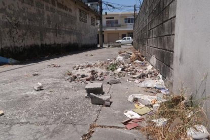 Guayaquil: El peligro y la insalubridad se toman los callejones de Albatros