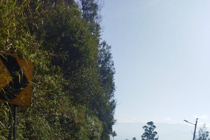 Hubo tráfico vehicular en varias avenidas de la capital.