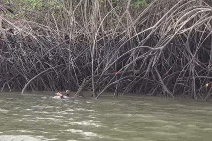 La víctima aún no ha podido ser identificada por las autoridades.