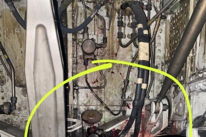 En Twitter, Nicolás Larenas compartió imágenes de las aves en medio de partes metálicas de las aeronaves.