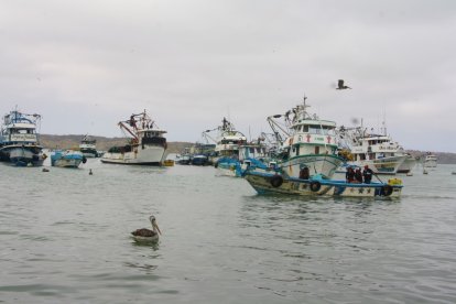 Entre los pescadores de Santa Elena tienen mucha preocupación.