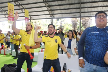 Los hinchas portaron camisetas, turbantes y cornetas para apoyar a la Tricolor en el juego ante Catar.