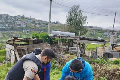 La implicada habría cometido este acto porque el canino supuestamente se comió un animal de su corral.