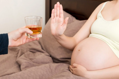 Beber en el embarazo, incluso poco, produce cambios en el cerebro del bebé