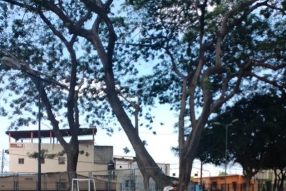 El sospechoso, 

de 43 años, fue capturado en un parque de La Pradera, en el 

sur de Guayaquil.