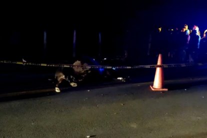 El animal también fue encontrado sin vida en la carretera.