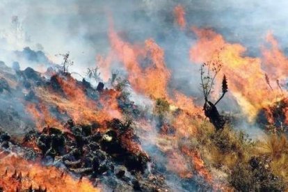 El gobernador de Ayacucho pidió al Gobierno central que se traslade a los heridos de gravedad a hospitales de Lima.