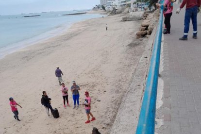 Turistas maravillados por la presencia de un lobo marino