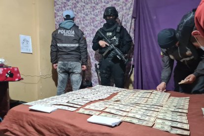 Los agentes indagan si la agrupación criminal mantenía conexiones con pillos de otros países.