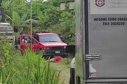 El agricultor cayó muerto junto a la camioneta en la que se movilizaba.