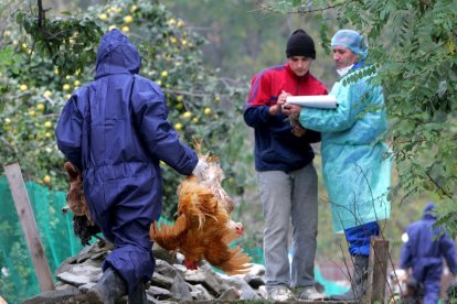 Referencial. Más de 850 técnicos trabajan en la contención del brote en todo el país.