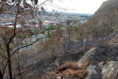Residentes de Bellavista alarmados por incendio forestal en el cerro del sector