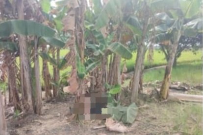 Guayas: Un ciudadano fue encontrado sin vida y con lesiones graves en Salitre