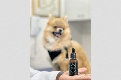 Crean fórmula que salva a las mascotas.