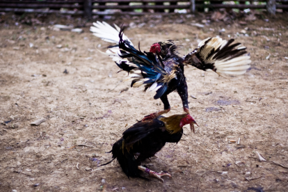 El expolicía fue atacado a tiros por la espalda