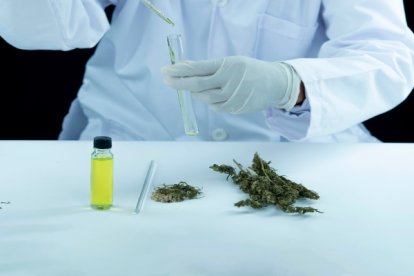 Ambos sujetos pueden ir a prisión hasta 13 años.