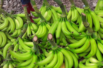 El verde, en el top 5 de los alimentos que más se encarecieron, según el INEC