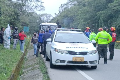 Un can fue el primero de hallar un brazo.