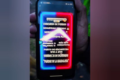 Este es el mensaje de convocatoria que circuló, para alentar la participación de estudiantes.