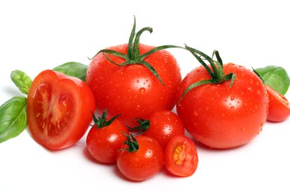 En el mundo hay más de 10.000 tipos