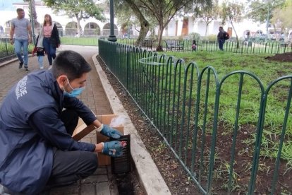 42 puntos fijos se establecieron en toda la ciudad.