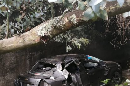 Las víctimas que fueron ingresadas al hospital Homero Castanier presentan politraumatismo y traumas severos.