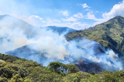 Personal de bomberos forestales de cinco cantones tardaron 10 horas en controlar y apagar el fuego.