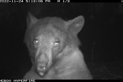 Una de las fotos que fueron publicadas por el parque.