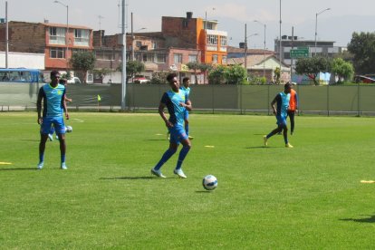 La sub-20 de Ecuador enfrentará el 31 de enero a Brasil, en el arranque del hexagonal final del Sudamericano sub-20 de Colombia.